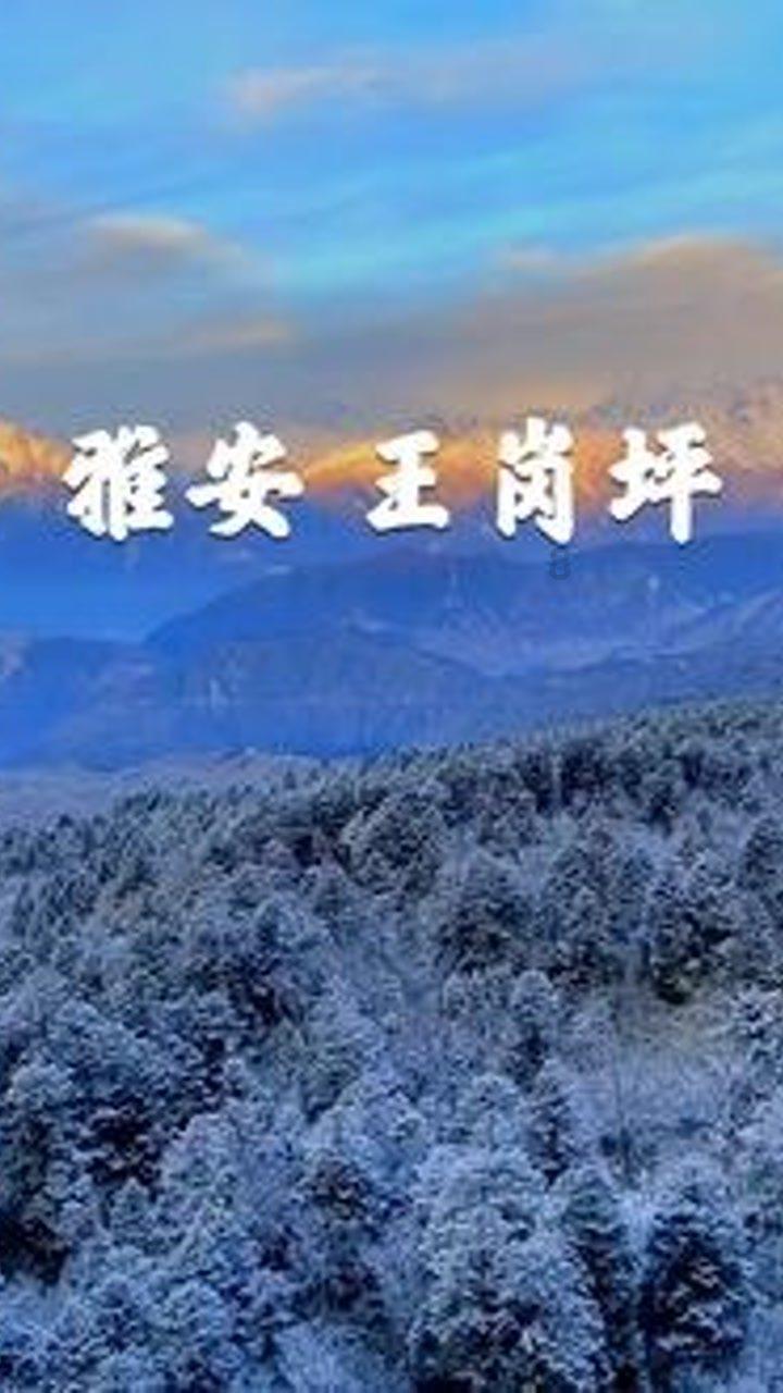 方块与转轮